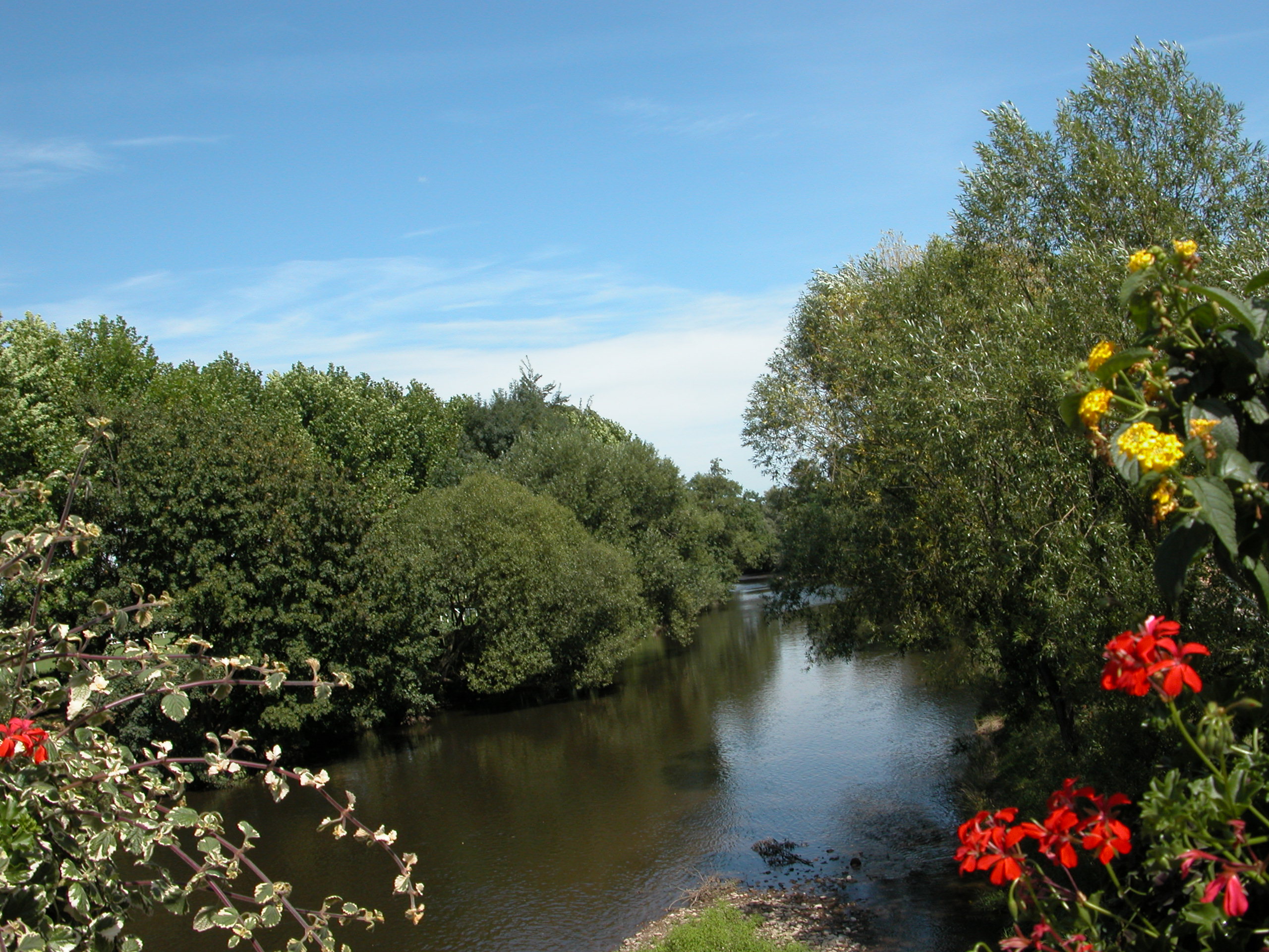 Molsheim, Ville propre