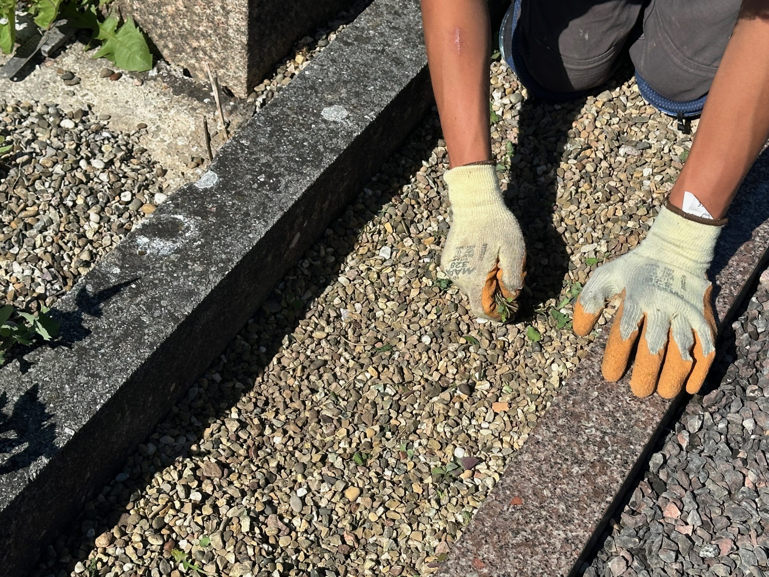 La Main verte paysage